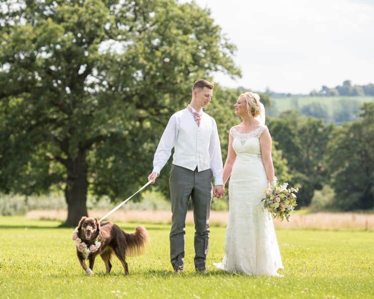 Dogs at Shottle Hall