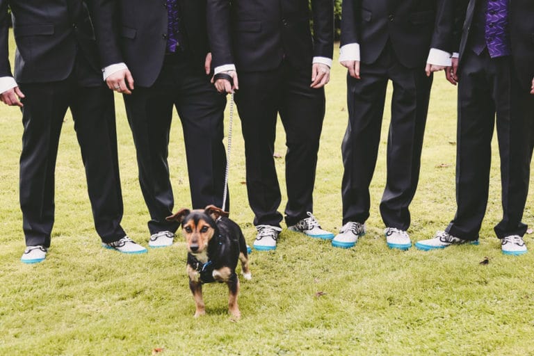 Canine Groomsmen